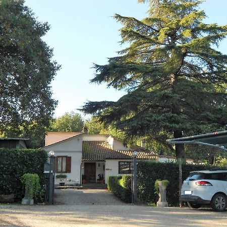 B&B La Quercia Orte Buitenkant foto