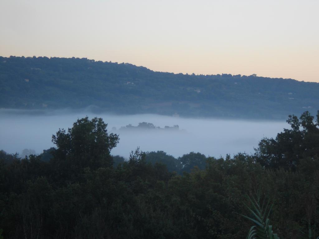 B&B La Quercia Orte Buitenkant foto