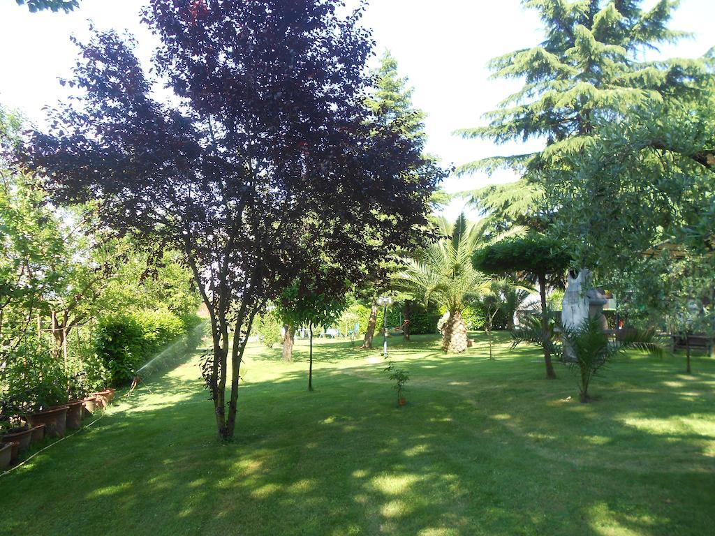 B&B La Quercia Orte Buitenkant foto