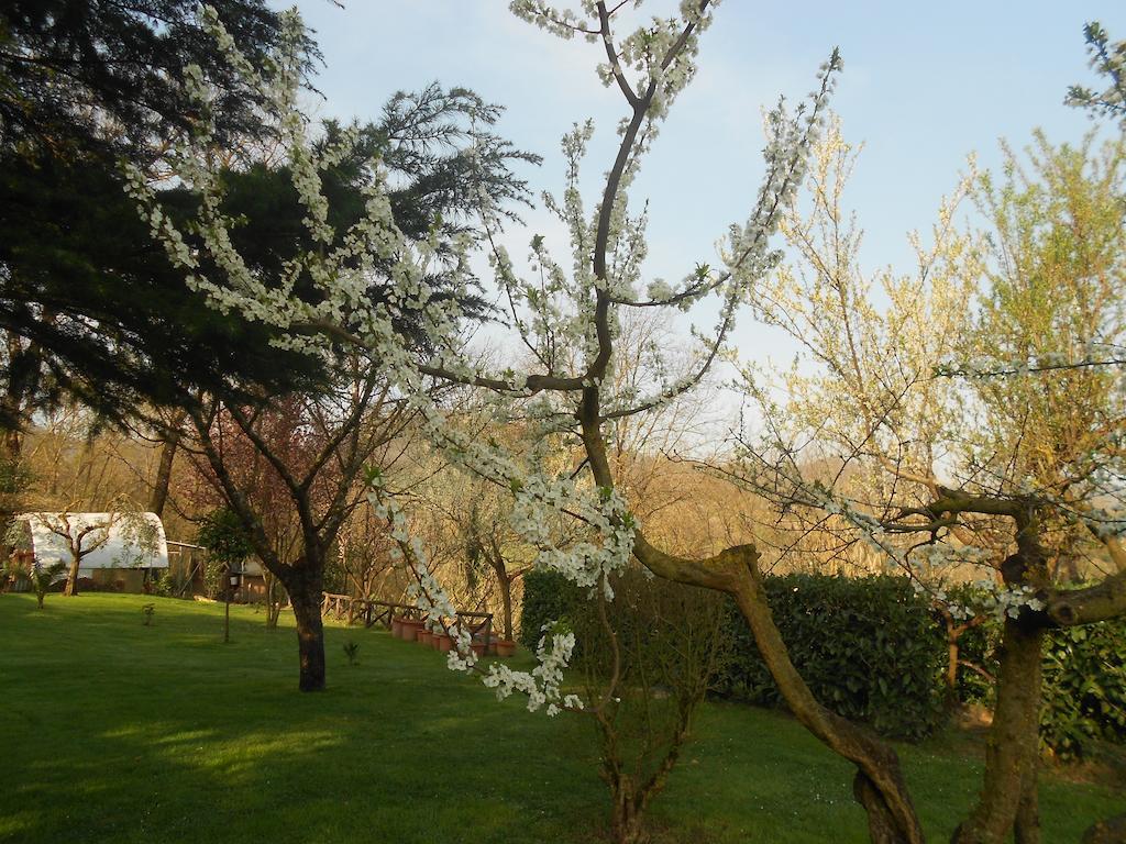 B&B La Quercia Orte Buitenkant foto
