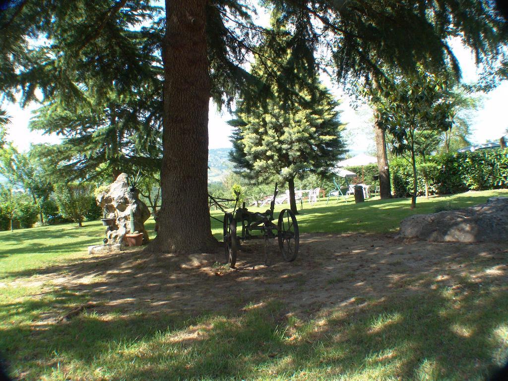 B&B La Quercia Orte Buitenkant foto