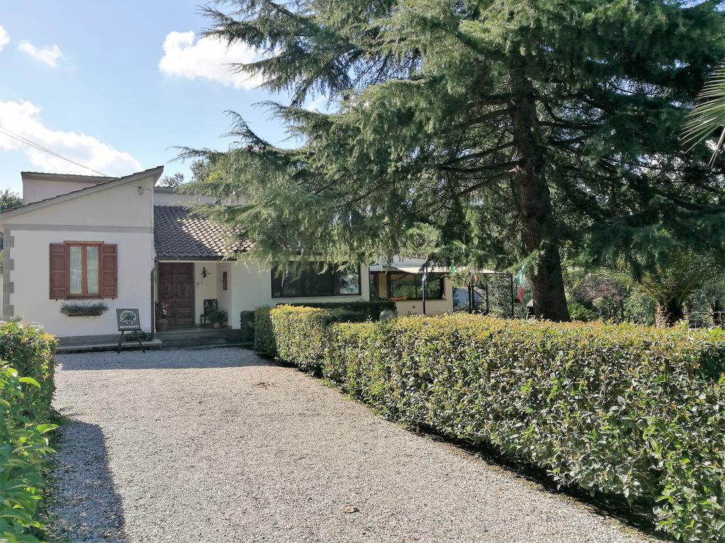 B&B La Quercia Orte Buitenkant foto