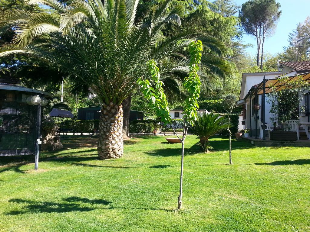 B&B La Quercia Orte Buitenkant foto
