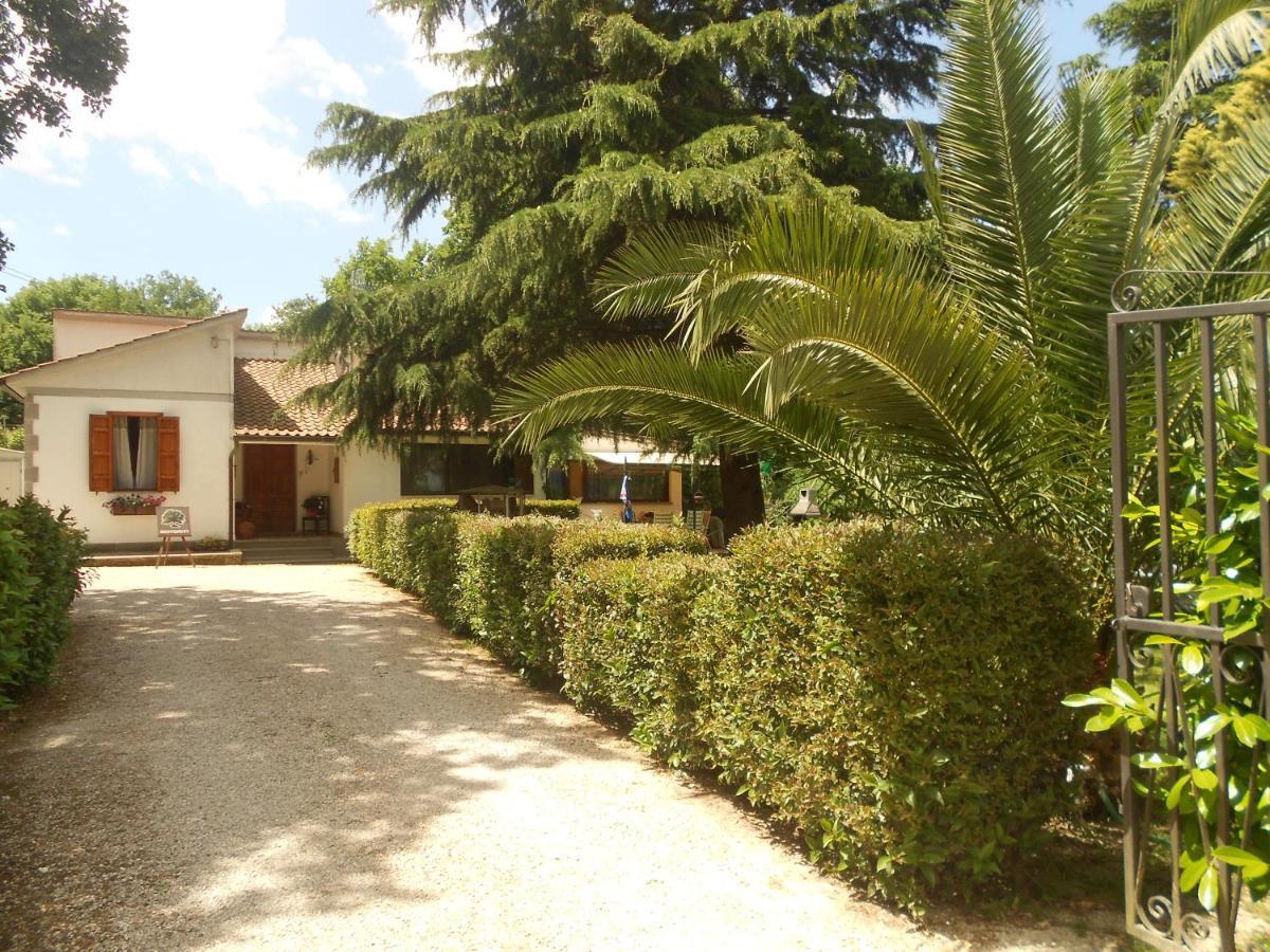B&B La Quercia Orte Buitenkant foto