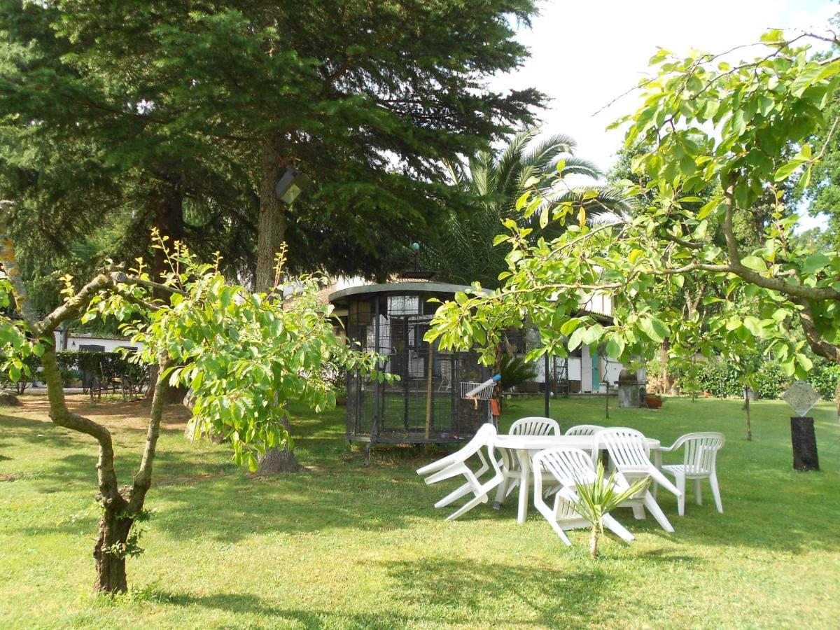 B&B La Quercia Orte Buitenkant foto
